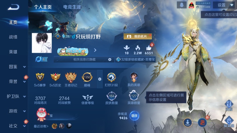 WZQM461249王者荣耀账号详情图2