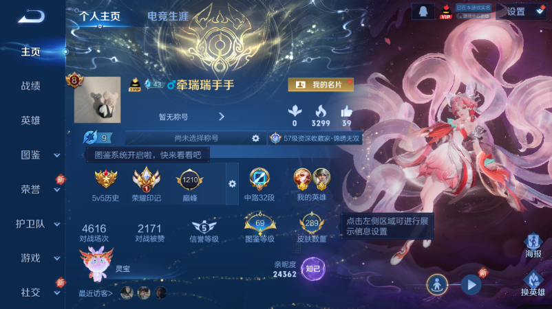 WZQM3465610王者荣耀账号详情图2