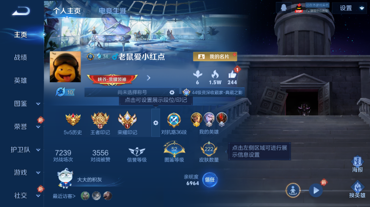 WZQM3465502王者荣耀账号详情图2