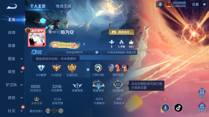 WZQM447410王者荣耀账号详情图2