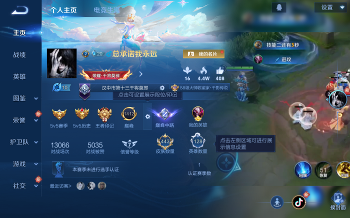 WZQM465436王者荣耀账号详情图2