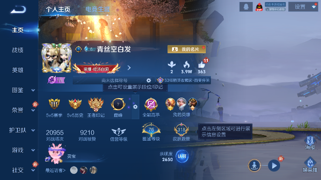 WZQM465431王者荣耀账号详情图2