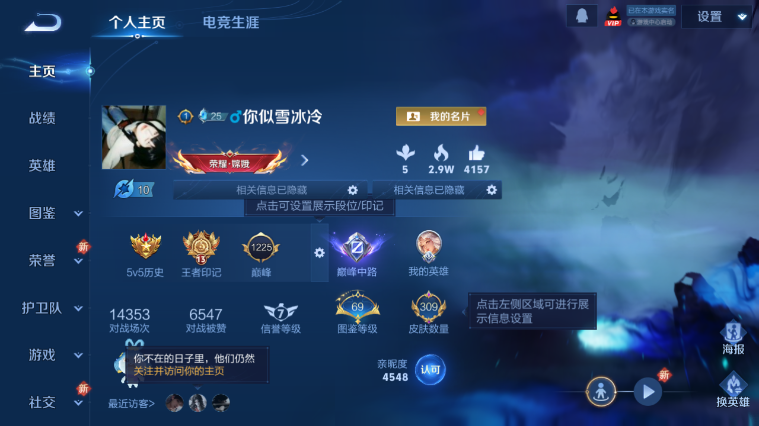 WZQM413153王者荣耀账号详情图2 WZQM413153王者荣耀账号详情图2