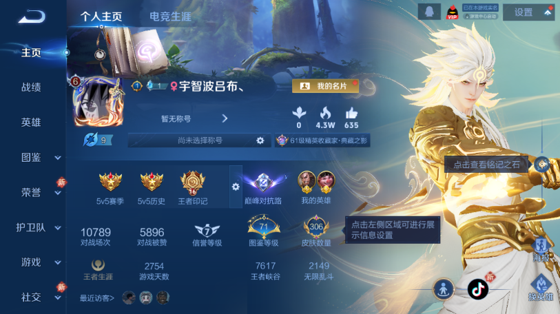 WZQM465450王者荣耀账号详情图2