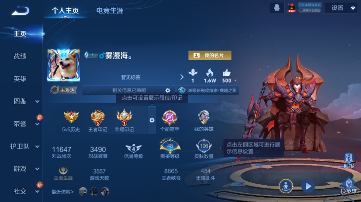 WZQM447484王者荣耀账号详情图2