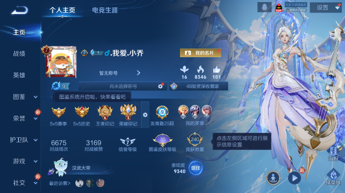 WZQM433497王者荣耀账号详情图2