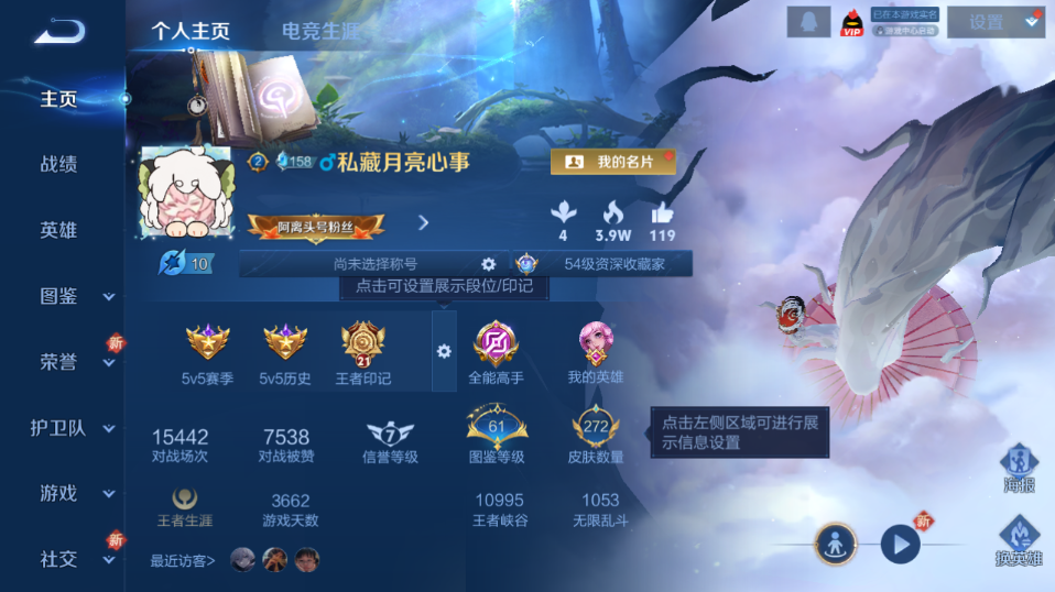 WZQM3476710王者荣耀账号详情图2