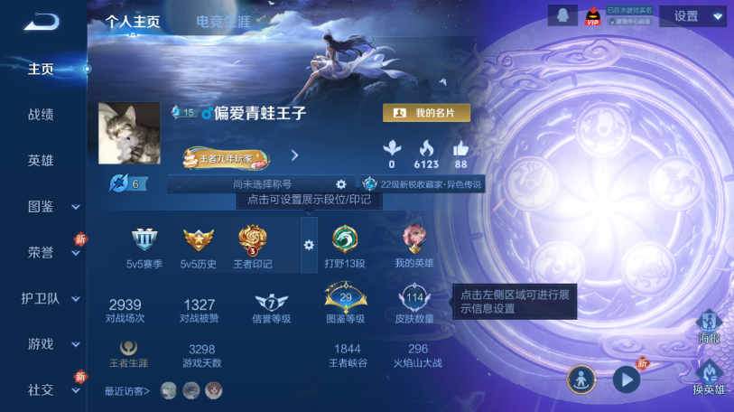 WZQM465485王者荣耀账号详情图2